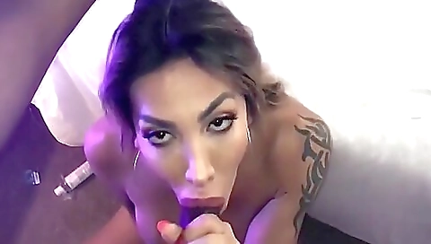 Sav athleticsi initiationso vega & sex
